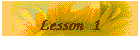 Lesson 1