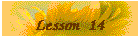 Lesson 14